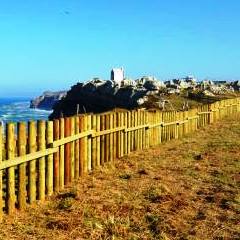 Ponerle puertas al campo