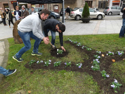 Los estudiantes han plantado una planta blanca en el lazo morado del jardín de la Plaza Virgen del Campo.