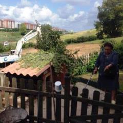 Ámparo rodeada de máquinas en torno a su finca.