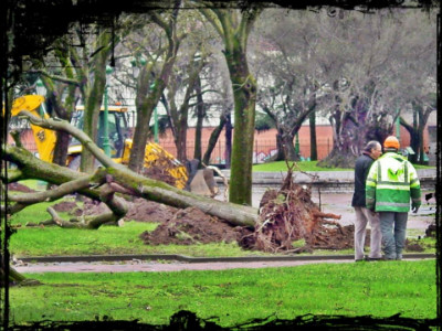 10421983_1383982715246442_4422976925681074938_n