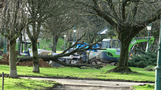 Fotografía publicada el pasado 5 de marzo por la Plataforma de Amigxs de La Marga denuncian más talas.