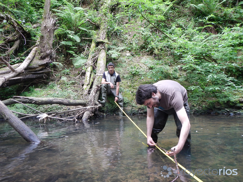 Participantes en la pasada edición