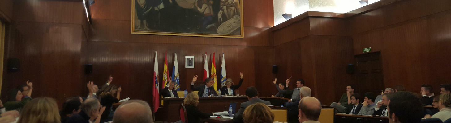 Votación durante el pleno municipal.