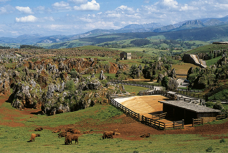 El Parque de la Naturaleza de Cabárceno, uno de los equipamientos más visitados de Cantabria