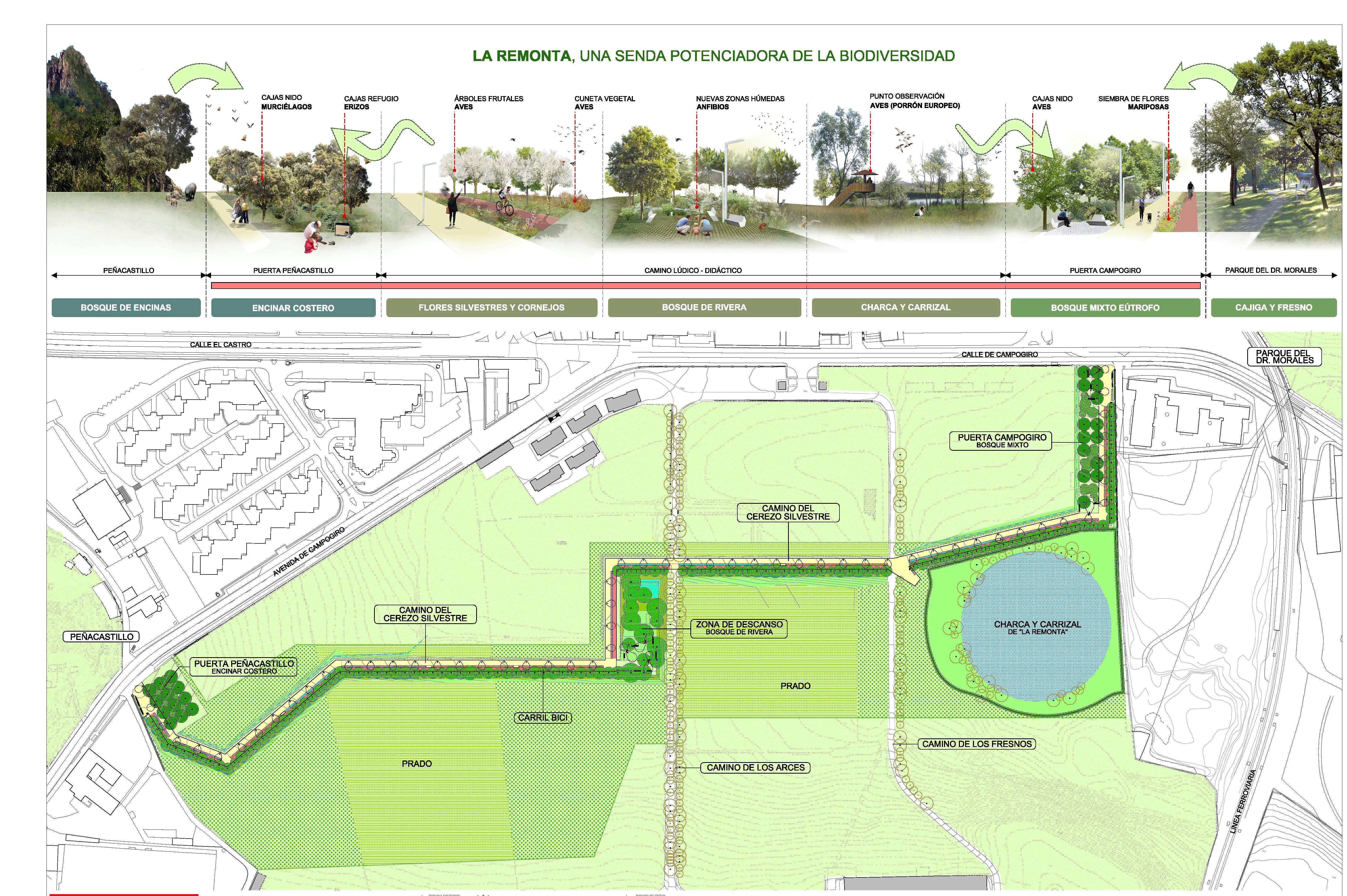 Infografía La Remonta