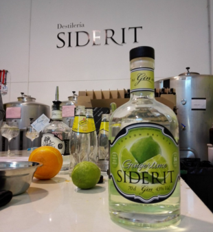 Siderit gingerlime