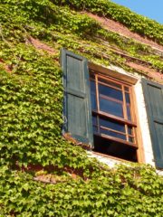 Una ventana abierta para saltar al vacío del verbo