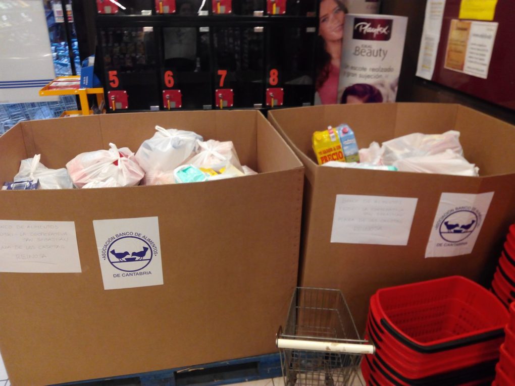 Alimentos recogidos en la presente campaña.