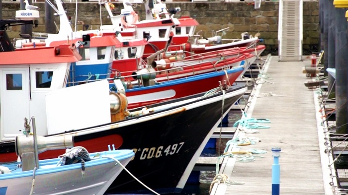 Pesqueros tradicionales amarrados en el puerto